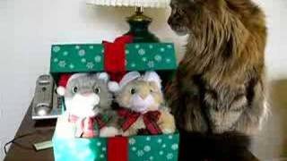 Caroling Kitties amp Candy [upl. by Elleiand641]