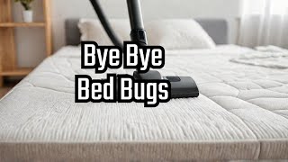 How To Get Rid Of Bed Bugs  Tips amp Tricks [upl. by Oirramed424]