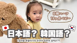 日韓ハーフ1歳児は日本語？韓国語？どちらを話す！？ 19개월 한일혼혈의 한국어 일본어 실력은 [upl. by Ansel]