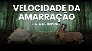 como eu CALCULO a VELOCIDADE TEMPO e a FORÃ‡A da AMARRAÃ‡ÃƒO [upl. by Cinderella325]