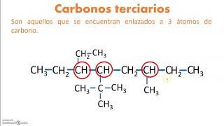 Carbonos primarios secundarios terciarios y cuaternarios [upl. by Ahseenat]