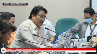 Senate panel approves the P2385billion proposed budget of the Office of the Vice President [upl. by Haiasi]