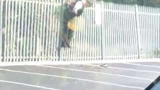 Policeman stuck on a fence😂 [upl. by Niajneb244]