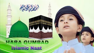 Hara Gumbad। হারা গুম্বাদ। Urdu Nasheed I উর্দু গজল। Salman molla  Al Amin Farabi  Islamic naat [upl. by Dlaniger373]