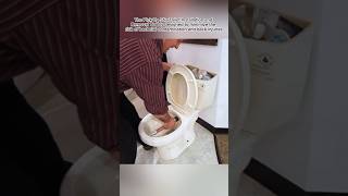 Toilet Installation and Removal Tool ❗️❗️ [upl. by Hoebart]