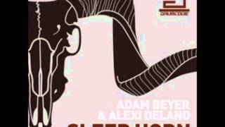 Filthy Lobster Original Mix  Adam Beyer amp Alex Delano  Sleep Horn EP [upl. by Bettye]