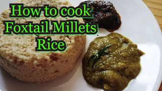 How to cook కొర్రలు rice  how to cook Foxtail Millet Rice  Korralu Rice in Telugu  Millet Recipes [upl. by O'Toole]