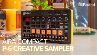 Introducing Roland AIRA Compact P6 Creative Sampler [upl. by June]