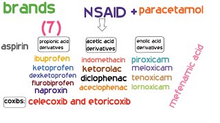 الحلقة السابعة من سلسلة براندات الأدوية المسكنات  NSAIDSPARACETAMOL [upl. by Antin]