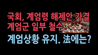 국회 尹계엄령 해제안 가결 계엄군 철수계엄상황 계속 된다 왜 [upl. by Virginie760]