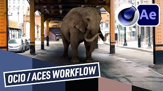 OCIO  ACES workflow in After Effects [upl. by Carlyle]