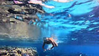 Regency Park Sharm El Sheik Snorkeling 2023 [upl. by Ocihc29]