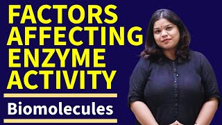 Factors Affecting Enzyme Activity Class 11 Biology  Biomolecules [upl. by Ecinad]