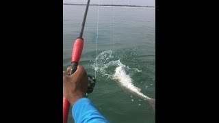 Kayak Fishing at the Murrells Inlet SC Jetties [upl. by Nhabois]