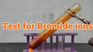 Test for Bromide ions [upl. by Branch]