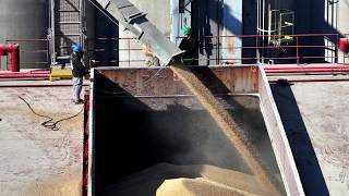 A Day in the Life of the CSL Assiniboine Grain Loading in Toledo [upl. by Fasto]