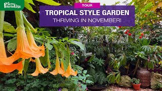 UK tropical garden AMAZINGLY thriving in November 🌴 [upl. by Nogam]