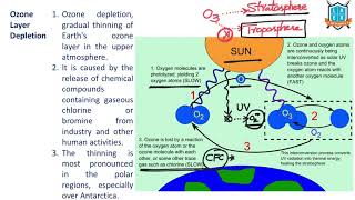 What is Ozone Layer Depletion   Ozone Layer Depletion అంటే ఏమిటి  La Excellence [upl. by Peisch]