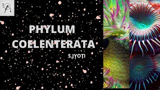 Phylum Coelenterata Class 11CHSEBy S Jyoti [upl. by Yort485]