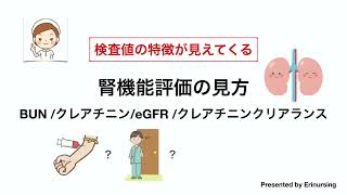 腎機能評価の見方｜BUN、クレアチニン、eGFR、クレアチニンクリアランス [upl. by Anniroc]