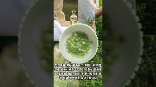 🌿 인진쑥 이렇게 먹으면 효과 UP 💯 🌿 How to Maximize Artemisia Capillaris Benefits 💯 [upl. by Phillie656]