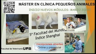 Máster en Clínica de Pequeños Animales Seminario Cuidados Intensivos y Dermatología [upl. by Cailly]