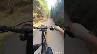 TrailPark Klínovec  BARON🤩💪enduromtb mtb downhill [upl. by Wheeler331]