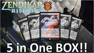 HOW IS THIS POSSIBLE  5 Expeditions in ONE Box  Zendikar Rising Collector Booster Box Opening [upl. by Narot]