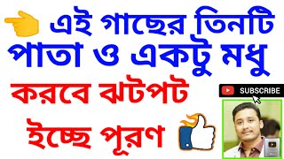 এই গাছের তিনটি পাতা ও একটু মধু হবে ইচ্ছে পূরণ holyfirereiki vastutips totka money wish success [upl. by Anahc]