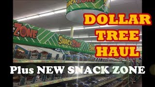 DOLLAR TREE Haul  NEW Zone amp Caboodles [upl. by Annaeerb]