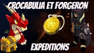 Dofus Forgeron et crocabulia expédition  Solo  Iop 271 [upl. by Leanora]