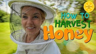 How to Harvest Honey  Beekeeping with Maddie 12 [upl. by Edgardo174]