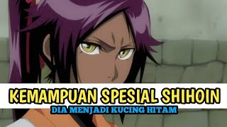 KENAPA YORUICHI SHIHOUIN BISA MENJADI KUCING HITAM bleach [upl. by Dorweiler]