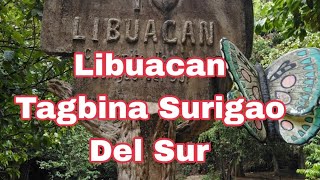 PASYALAN NATIN ANG NAPAKALINAW NA RUNNING WATER SA SURIGAO DEL SUR [upl. by Jammie45]