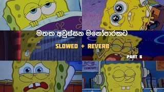 මතක අවුස්සන මනෝපාරකට  Slowed and Reverb Songs  manoparakata sindu Collection Part 6 [upl. by Hubey327]