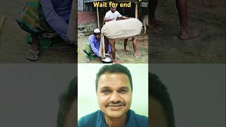 Most funny trading video 2024 cowdung comedy funny villagelife [upl. by Akemrej]