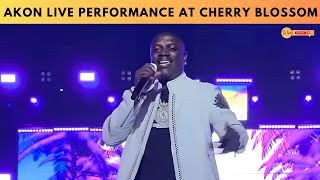 Akon Live Performance at Cherry Blossom Festival 2024 [upl. by Booma]