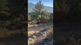 Trek trail at Virginia Canyon coloradomtb mountainbiking mtb [upl. by Ellinger]