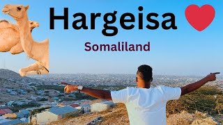 Manta iyo caano Geel iyo hargeisa caddeey [upl. by Aehcim89]