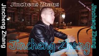 Jincheng Zhang  Own Instrumental Version Background Official Audio [upl. by Leumek]