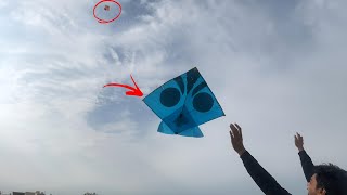 Crazy Kite Flying🤪  Kite Flying With Monofil Gattu 🪁 [upl. by Giffy]