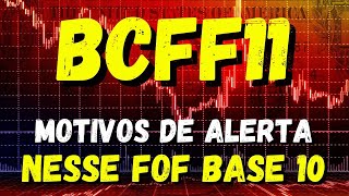 BCFF11 MAIOR FOF DE BASE 10 VALE A PENA INVESTIR [upl. by Siwel]