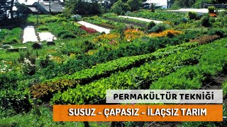 Permakültür  Susuz  İlaçsız  Organik Tarım  Hügelkültür [upl. by Richards]