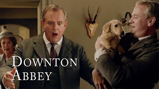 Lord Granthams New Puppy  Downton Abbey [upl. by Klapp]