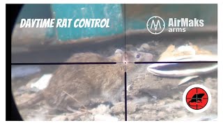 EPIC DAY TIME RAT CONTROL  THE BEST ON YOUTUBE 7 [upl. by Naesed]