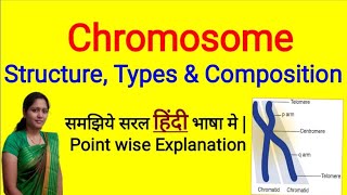 Chromosome  Structure and Types of Chromosome  Composition of Chromosome in Hindi  NEET [upl. by Peter]