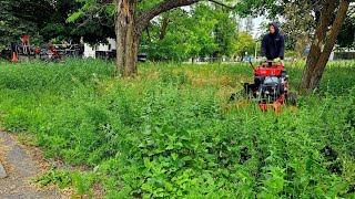 Community With The Most UNWELCOMING Front Yard Gets CLEANED UP [upl. by Ebony]