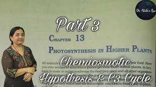 photosynthesis in higher plants  Part 3  Class 11 Biology  NCERT NEET [upl. by Faydra]