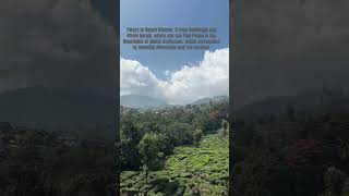 Idukkidevikulam  munnar  peace4soul travelling viralshorts2024 reelsinstagram reels4real [upl. by Galvin506]