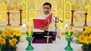 Sunday Holy Mass November 12 I 530 AM I Malayalam I Syro Malabar I Fr Bineesh Augustine [upl. by Bertero]